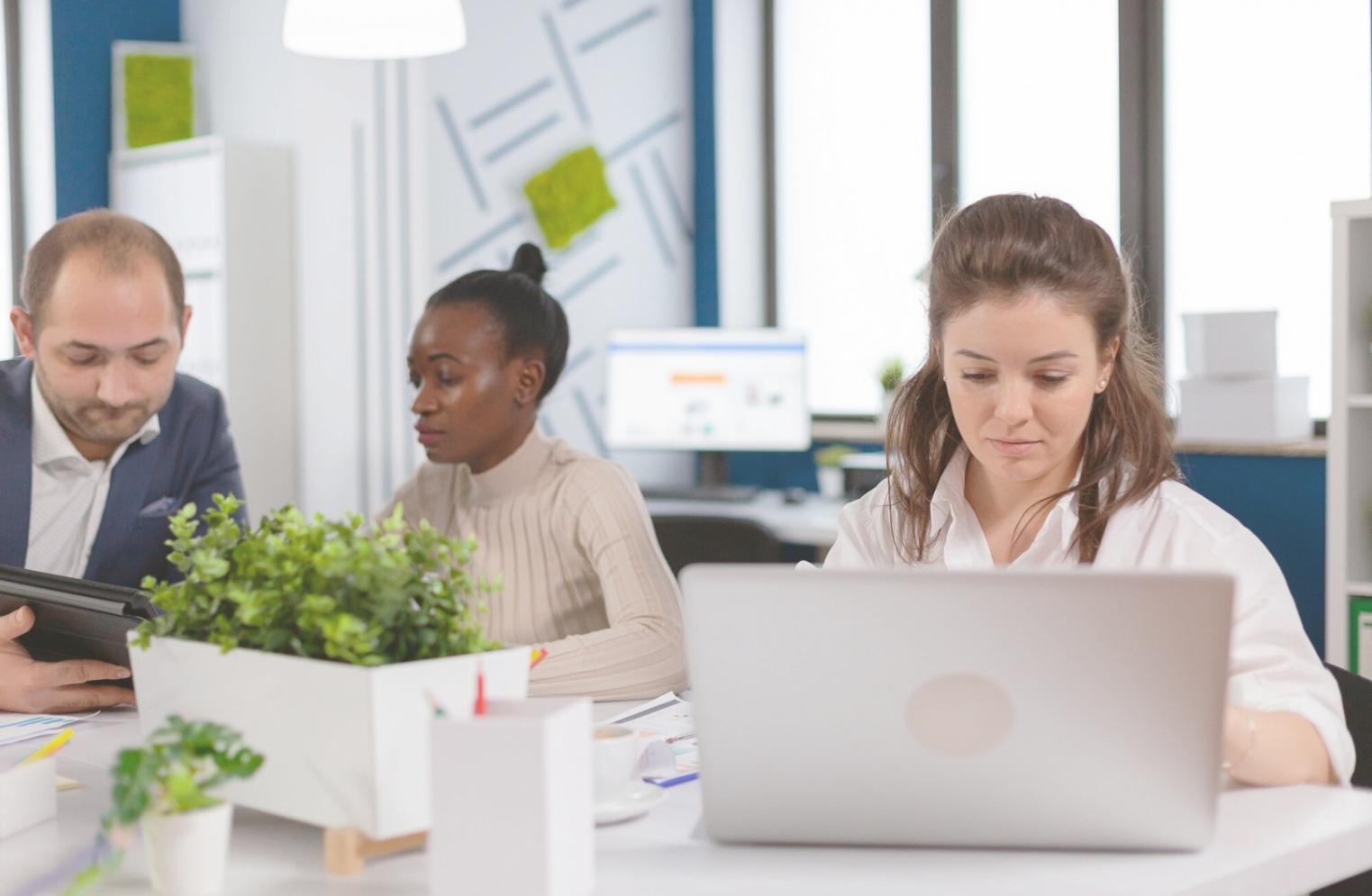 Desarrollo de estrategias financieras personalizadas